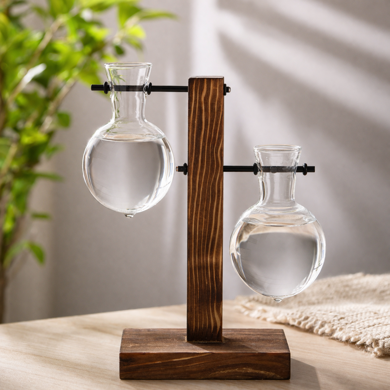 Floréa Hydro Glass Vases